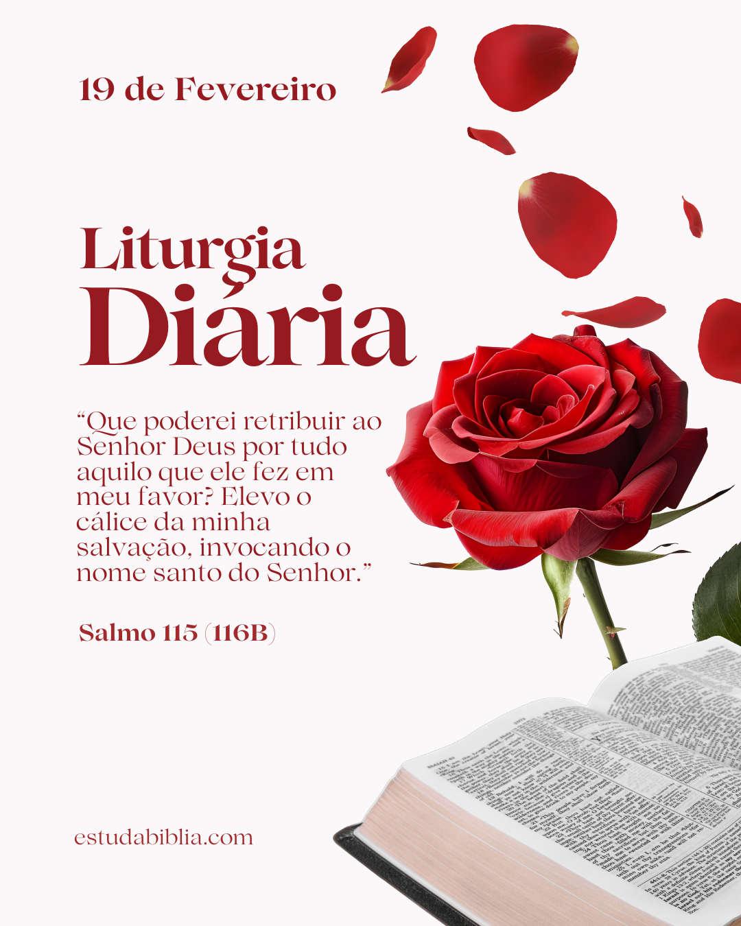 Liturgia do dia 19 de fevereiro