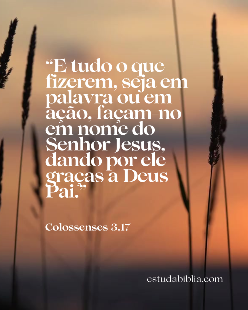 Tudo que fizer faca em nome do Senhor Colossenses 3,17