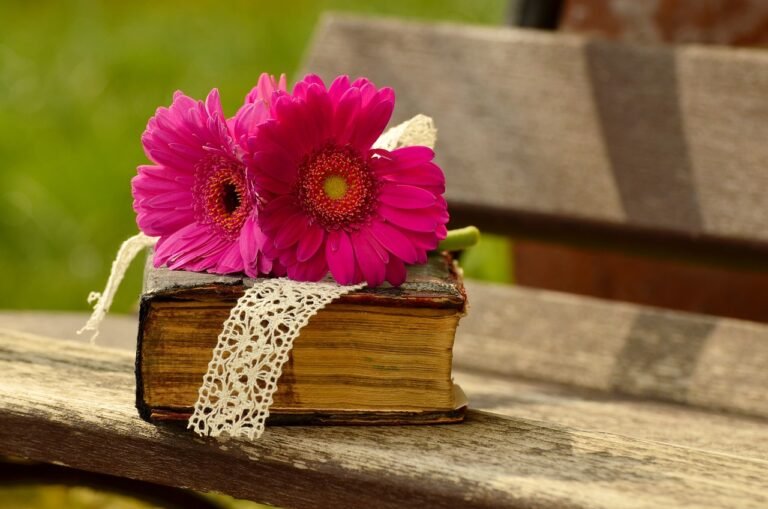 gerbera, pink, flower, nature, blossom, bloom, bank, romantic, beautiful flowers, a book, flower wallpaper, bible, relax, read, wood, bible, bible, bible, flower background, bible, bible