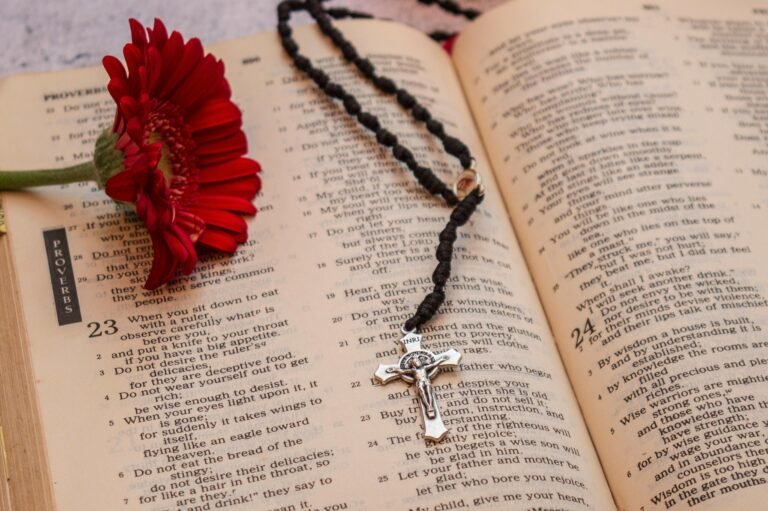 An open Bible with a rosary and vibrant red flower symbolizing faith and spirituality.