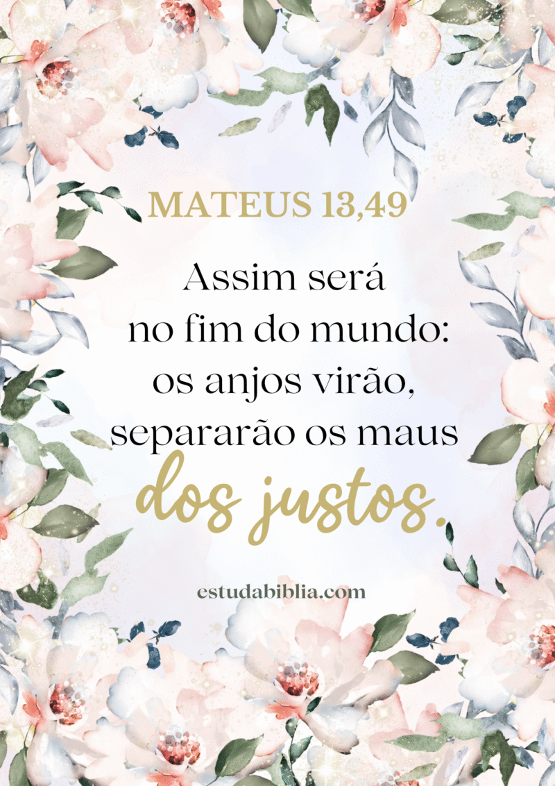 devocional com mateus 13 49 estuda biblia