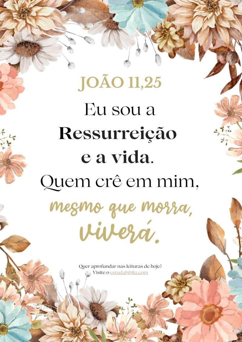 devocional do dia com Joao 11