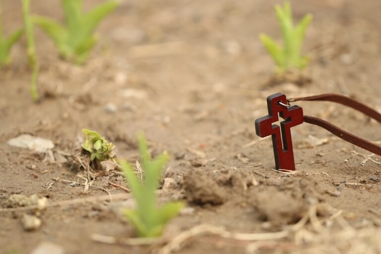 cross, love, confidence, jesus, christianity, resurrection, cross, jesus, jesus, jesus, jesus, jesus, resurrection, resurrection, resurrection